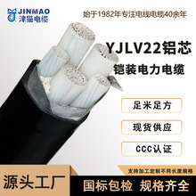 天津小猫YJLV22电缆铝芯带铠国标电力电缆34芯10-300平方厂家直销