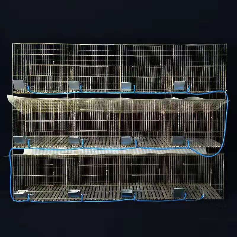 包邮12位24位兔笼养殖笼 免清粪12位子母笼加粗加密镀锌兔子笼子