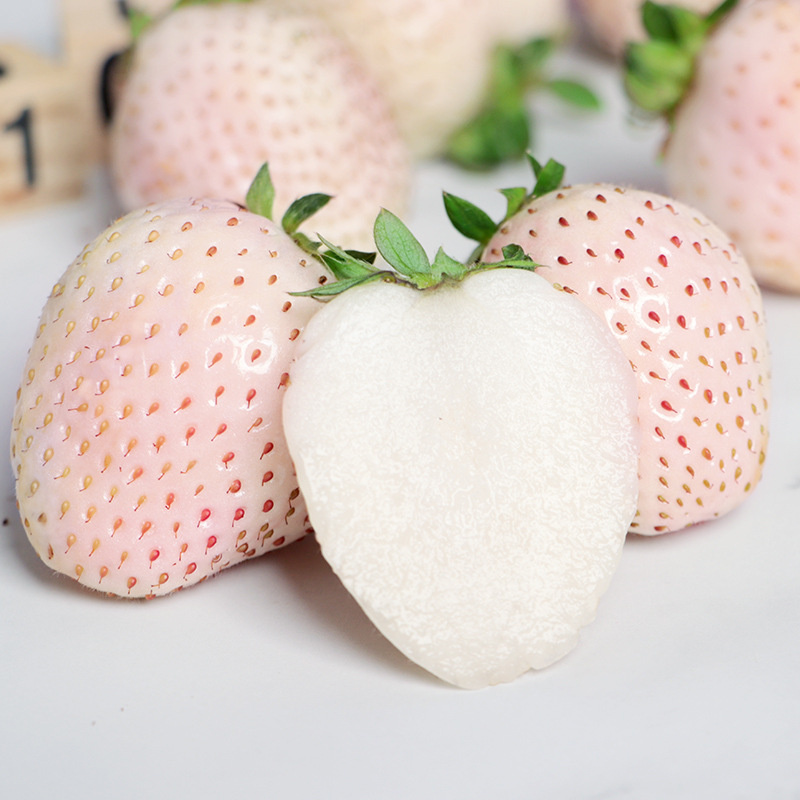 山东烟台淡雪草莓 代发1/3斤应季新鲜孕妇白雪公主大果草莓