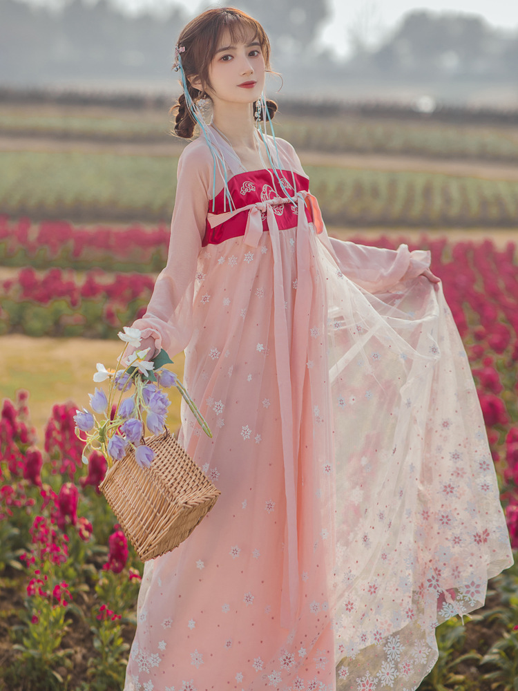 超仙气连衣裙女飘逸唐装古风复古网纱裙中国风绣花改良版日常汉服