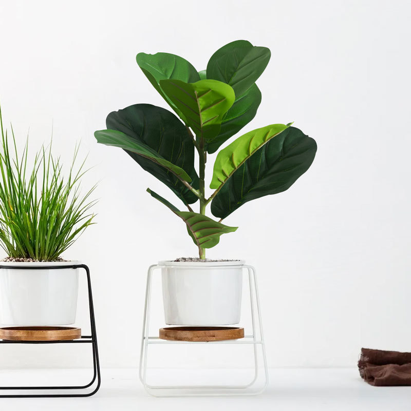 仿真琴叶榕橡皮树榕树过胶手感榕树仿真花绿植桌面盆栽家居装饰