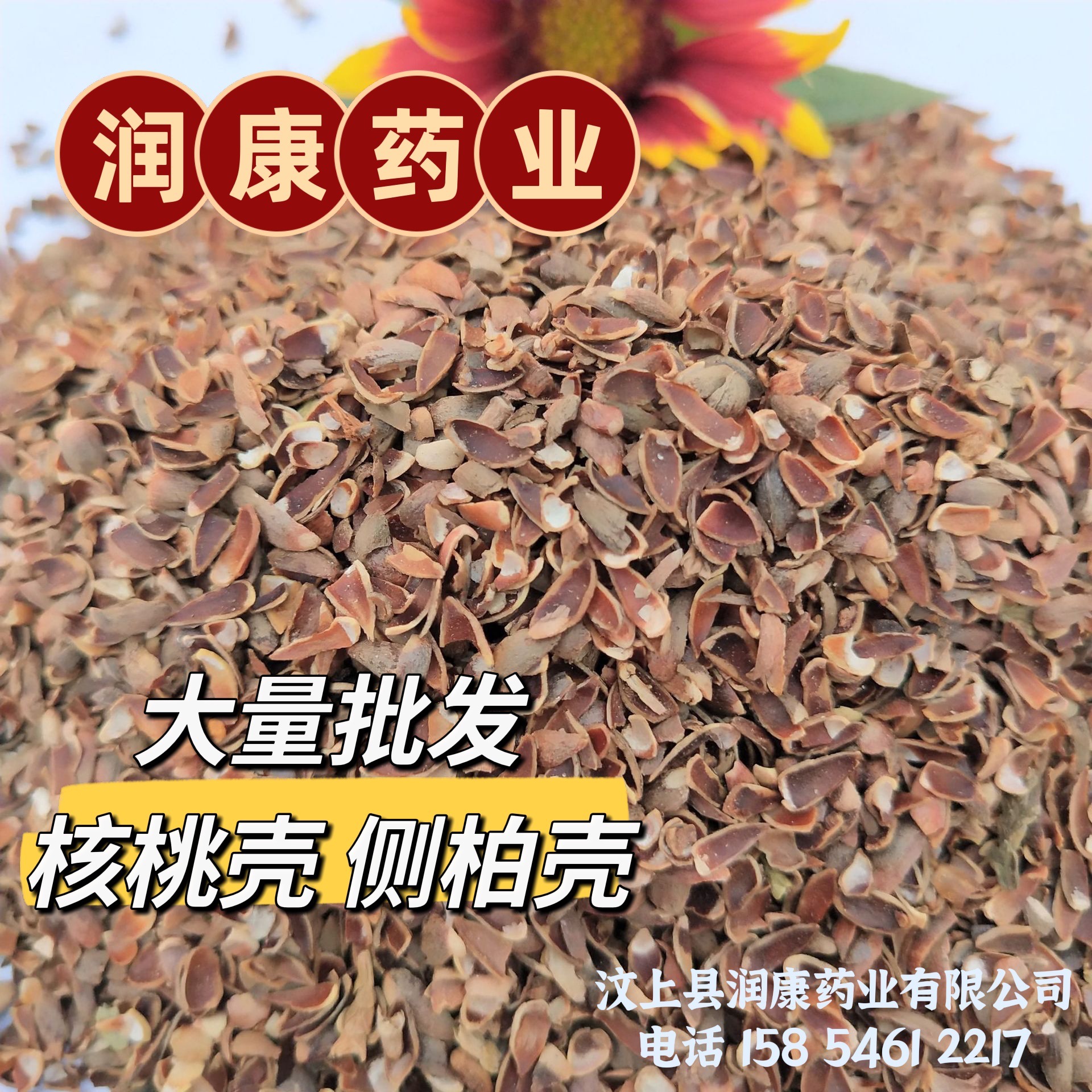 产地直销 侧柏壳 柏籽壳 坐垫枕头等的填充物 柏籽壳 大量供应