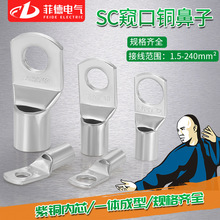 SC线耳 SC1.5-240平方 包邮 厂家直销 铜线耳线鼻 窥口型接线端子