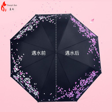 遇水开花变色晴雨伞 全自动三五折叠黑胶遮阳防紫外线晴雨伞 现货