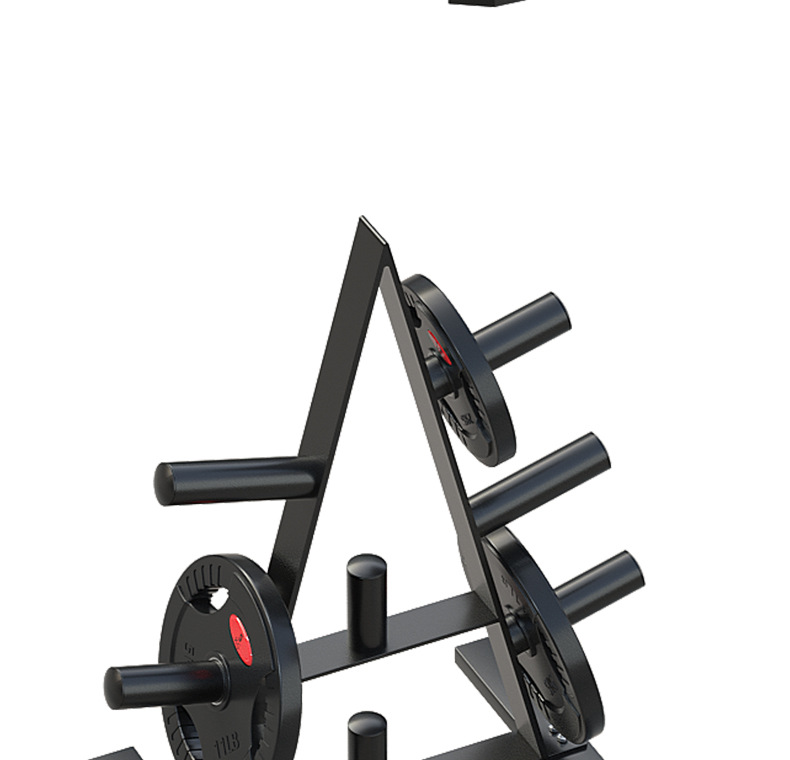 杠铃架杠铃杆杠铃片架子存储架杠铃片架大孔小孔收纳架工作室私教