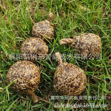 户外烧烤 引火燃料固体蜡木块  圆灯芯引火块  户外烧烤助燃剂