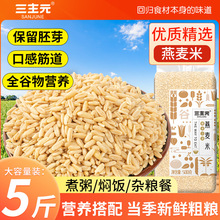 燕麦米新米5斤农家自种纯生裸燕麦仁粗粮胚芽米燕麦粒杂粮米商用
