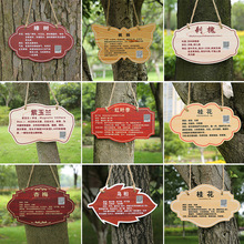 地果树标牌植物标识爱护亚克力草果不锈牌公园树木牌介绍吊牌标识