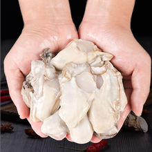 牡蛎肉生蚝大号加肥加大新鲜批发海鲜水产鲜活现剥海蛎子厂家直销