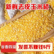 玉米渣 碎玉米玉米碴子真空粘玉米便宜苞米糁碴子粥玉米糁粗粮