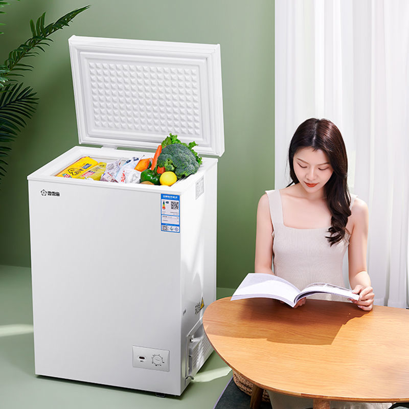 香雪海优惠小冰柜冷冻冷藏冰柜家用冷冻柜小型迷你冰柜大容量省电