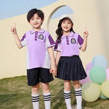 校服套装小学生班服三件套春秋学院风运动紫色幼儿园园服夏季