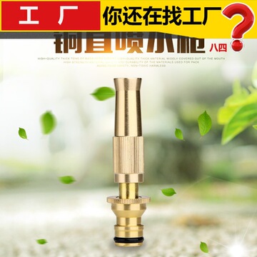 纯铜高压水枪洗车神器浇花洗车工具高压喷枪汽车用品家用洗车水枪