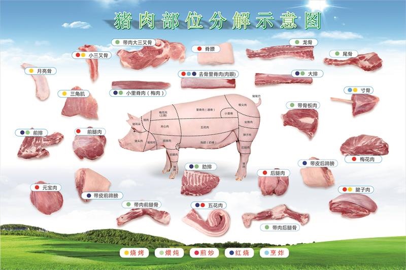 超市生鲜猪肉店贴画猪肉分割图分切分解图墙贴海报墙画图片宣传图