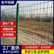 厂家定制浸塑养殖圈地卷式铁丝荷兰网户外果园隔离网养鸡栅栏围栏