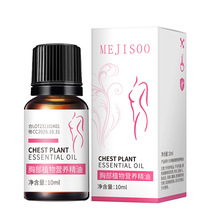 MEJISOO胸部植物营养精油10ml滋润嫩滑细腻肌肤女士护肤品精油