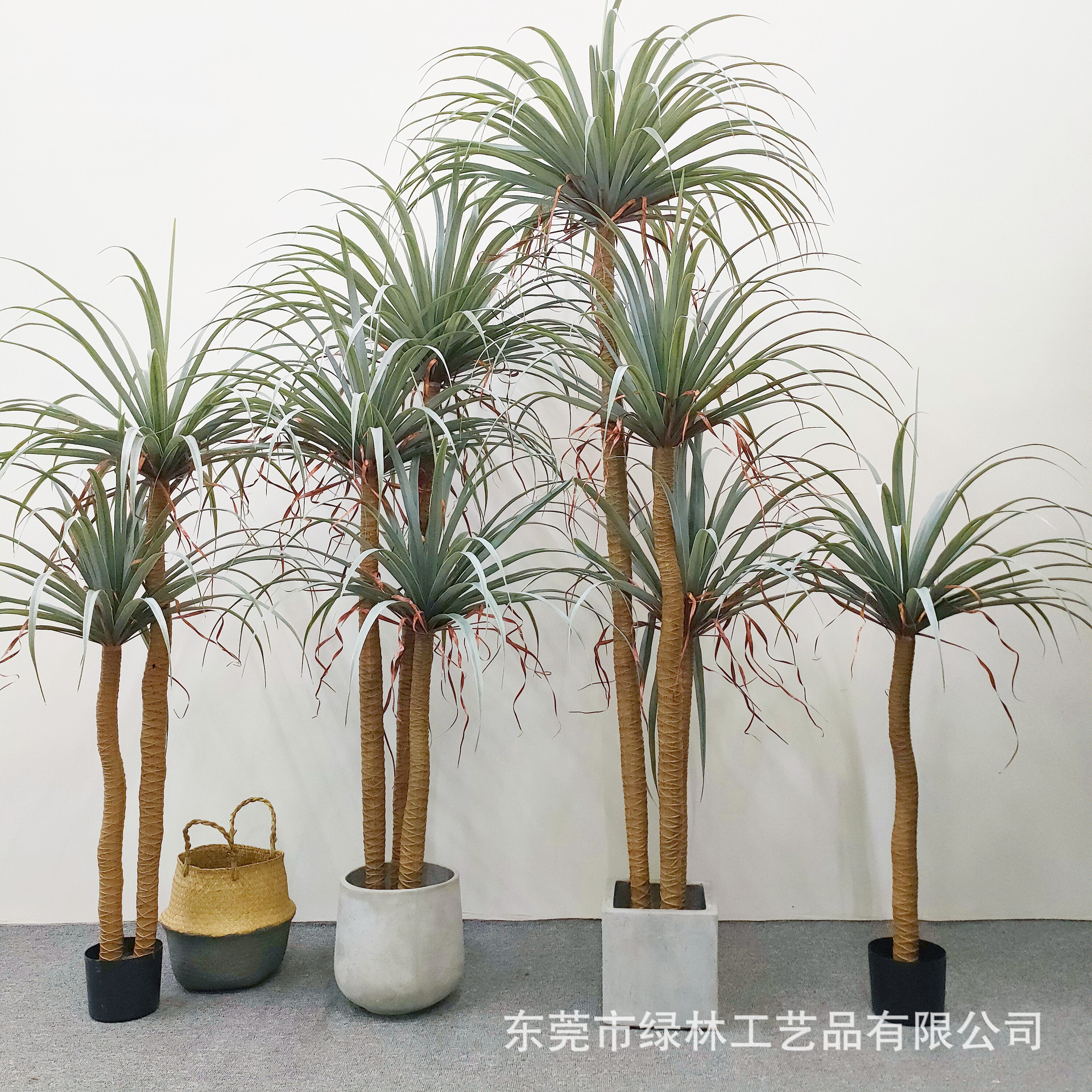 仿真丝兰树盆栽北欧风荷兰铁假树龙葵多仿真杆龙血树装饰落地盆栽