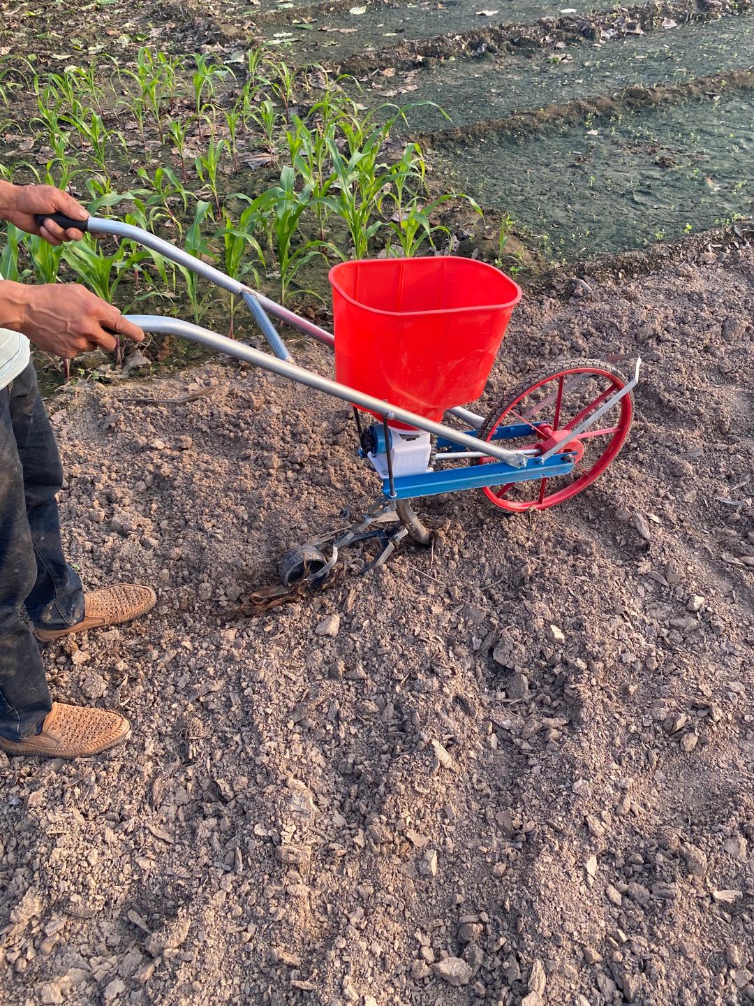 播种器新型手推式玉米小麦谷子大豆花生施肥点播精播播种机小型