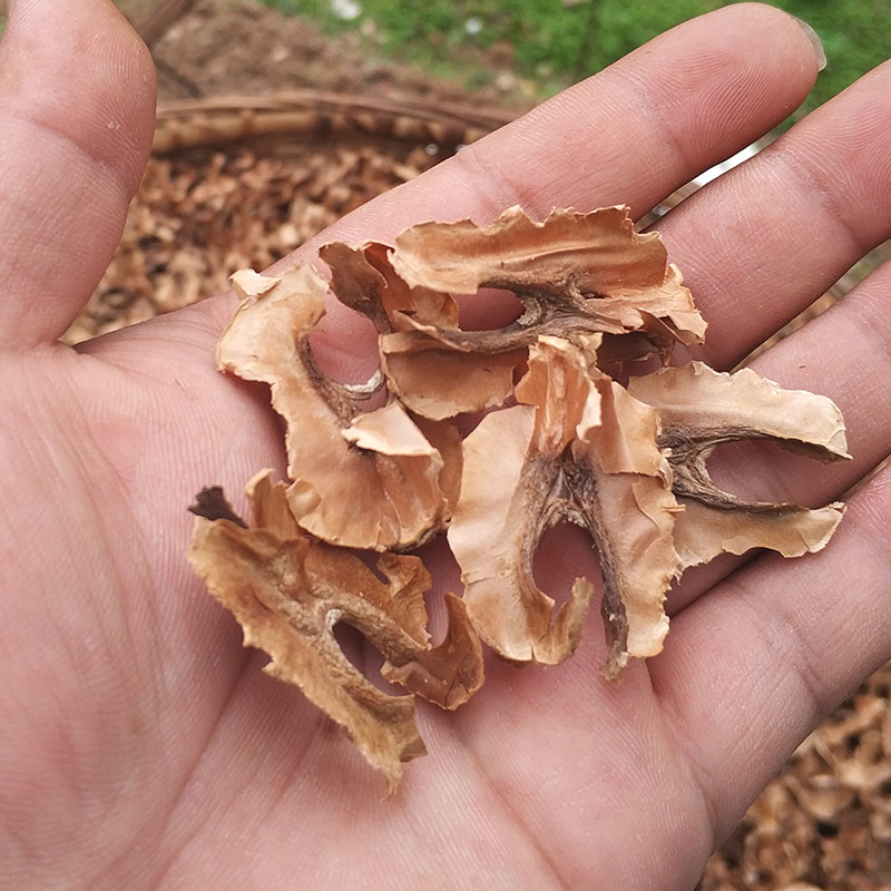 新货秦岭野生核桃分心木100g/500g隔心木夹心木精选分心木茶药材