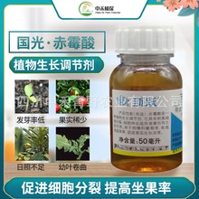 国光(药品)3%赤霉酸调节生长生长调节剂 _ 国光3%赤霉素 柑橘提高坐果