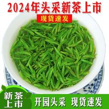 2024新茶特级雀舌茶叶四川明前竹叶翠芽青春茶高山云雾毛尖绿茶