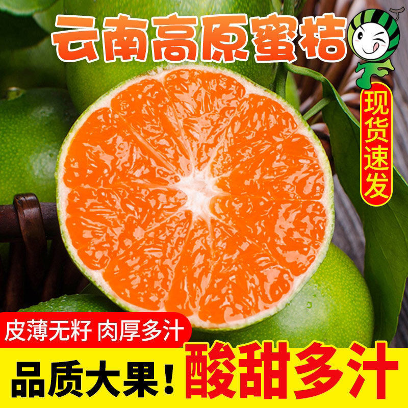 云南青皮橘子蜜桔孕妇水果新鲜当季整箱青薄皮酸桔子现摘3/10/5斤