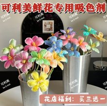 鲜花染色剂 郁金香吸色剂 满天星康乃馨吸染料所托三河江城