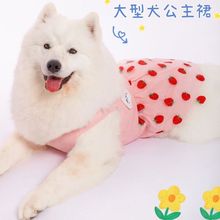 金毛衣服宠物狗狗裙子中大型犬透气防夏天网纱萨摩大码公主风薄款