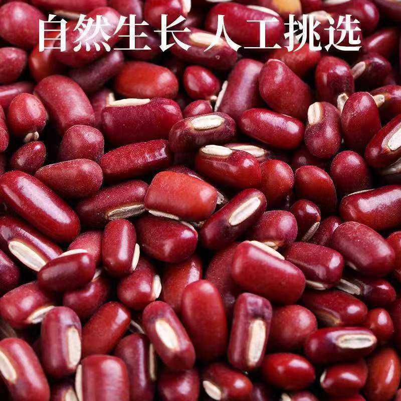 当季新货农家自产长粒赤小豆小红豆红小豆500g五谷杂粮一件代发