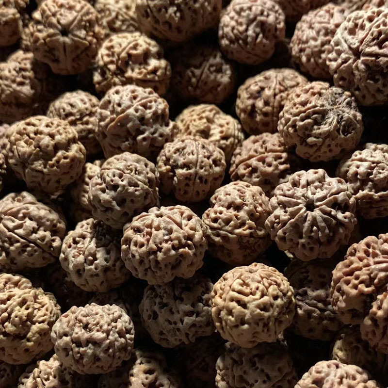 文玩金刚菩提通货 原皮原色 5瓣梅花双龙 散籽 散珠 按斤批发
