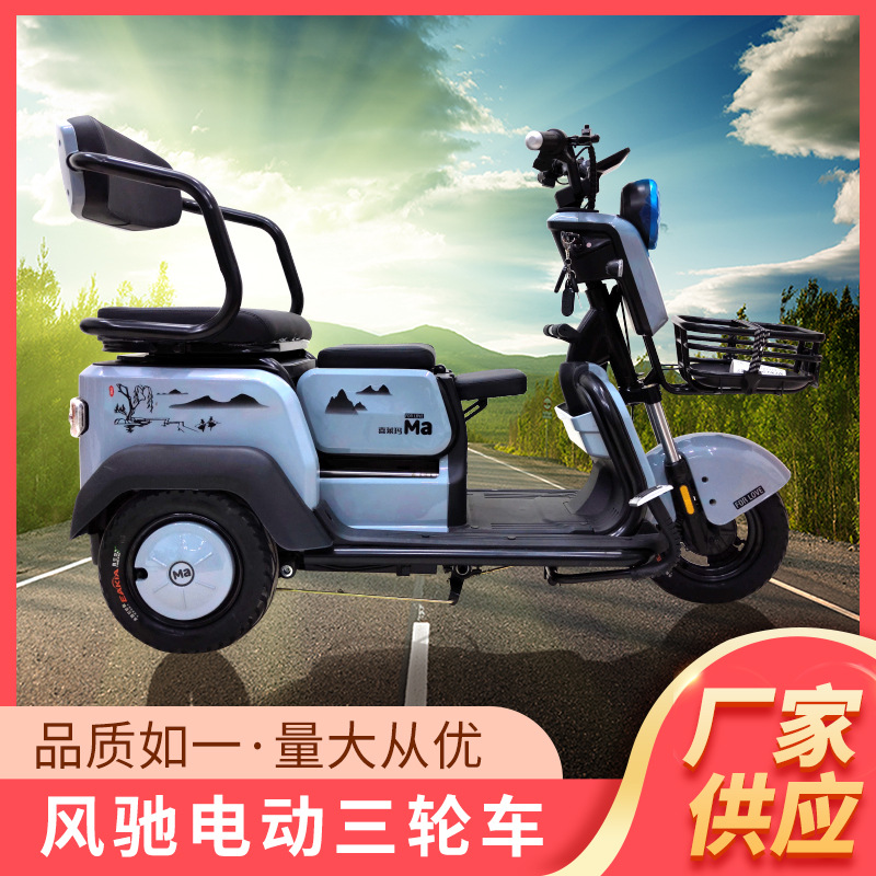 新款三轮车电动车成人接送孩子家用迷你型休闲代步车电瓶车-阿里巴巴