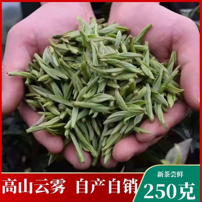 2022明前霍山黄芽芽尖黄茶礼盒手工制作浓香型产地直销黄大茶100g