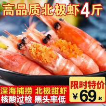 北极虾特大号甜虾刺身即食冰虾鲜活带籽腹籽海鲜水产冻虾北极甜虾