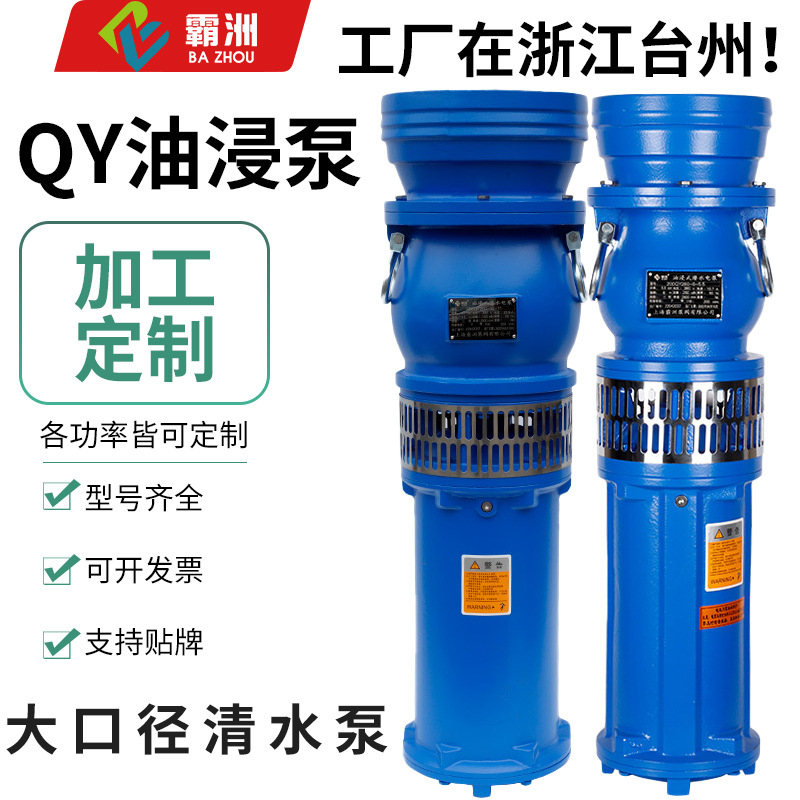 Customized QY Oil Pump Three-Phase Submersible Pump Agricultural Garden Drainage and Irrigation Pump Large Flow Fountain Pump Irrigation Pump