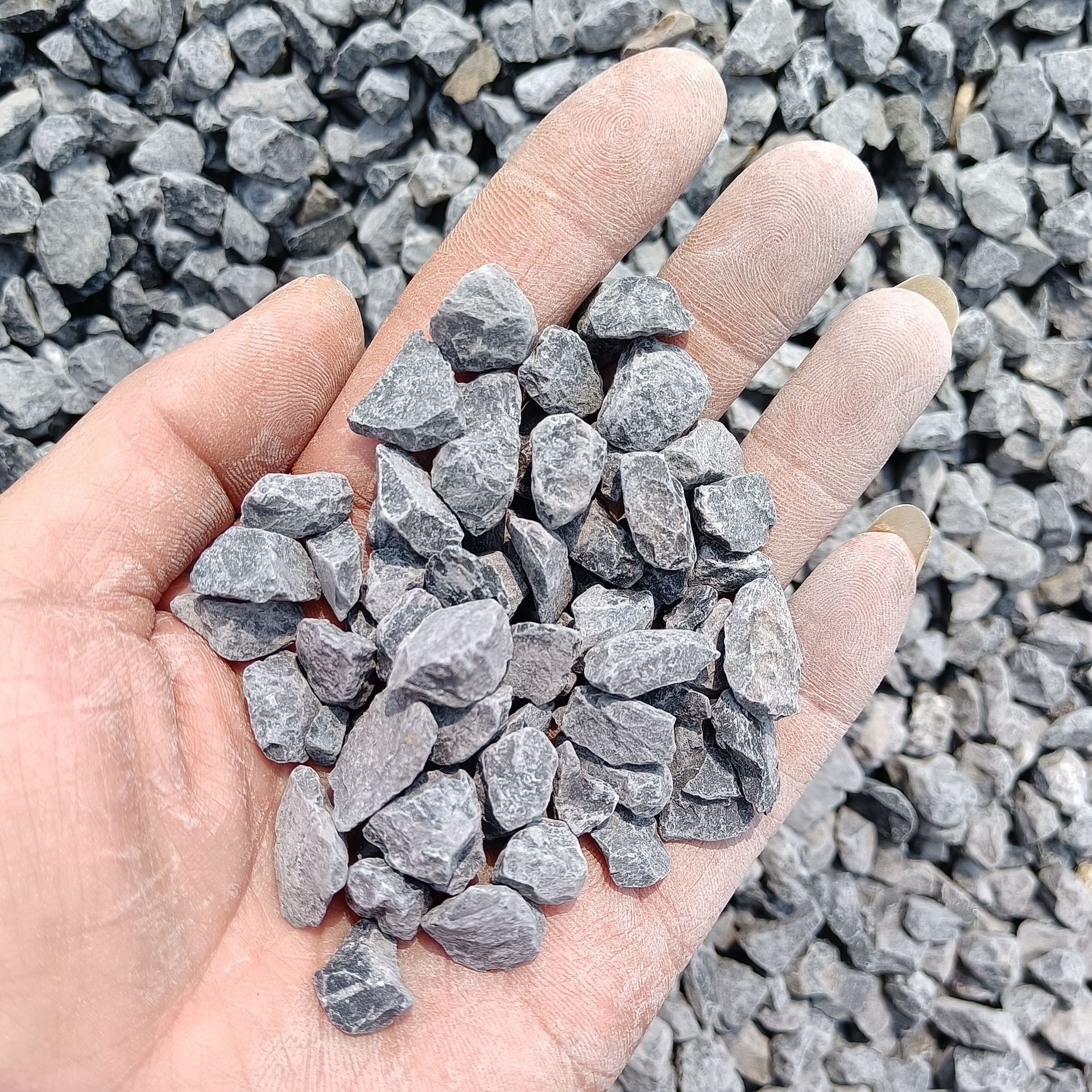 供应石子 灰色碎石子 机制灰色鹅卵石 水洗石米 透水胶粘石