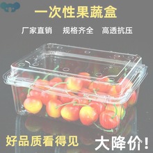 TWX.一次性食品级水果包装盒透明塑料盒子保鲜盒蔬菜草莓打包盒10