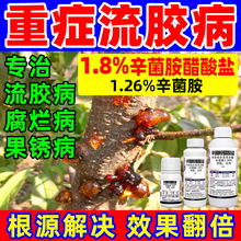 桃树流胶病专用药樱桃杏树李子果树溃 疡病辛菌胺醋酸盐杀菌剂