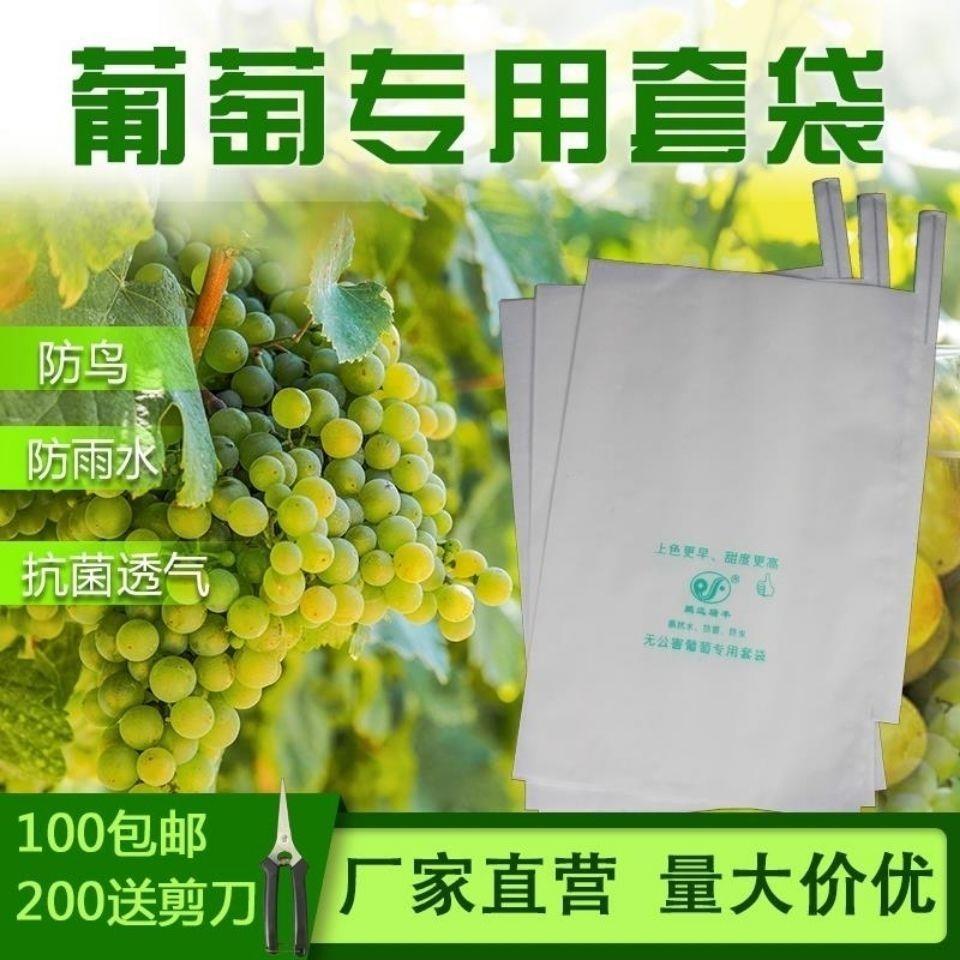 葡萄袋套袋纸袋水果袋防水防雨防虫莲雾保护透气半透明袋批发