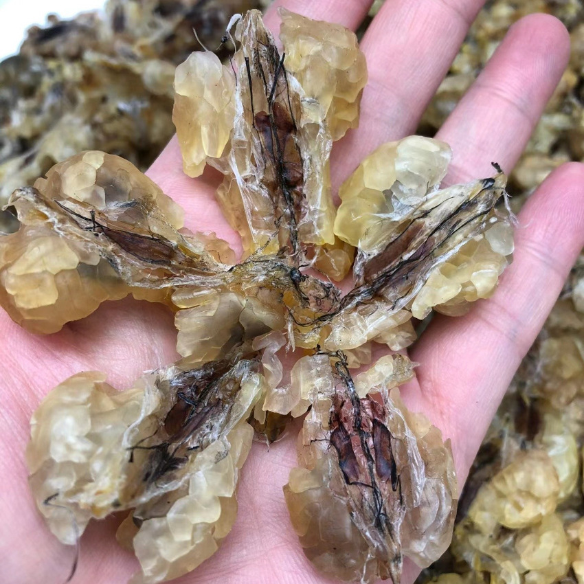 东北长白山雪蛤膏 心选雪蛤林蛙油足干 雪蛤礼盒 批发支持代发