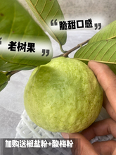 【现摘白心番石榴水果新鲜包邮】当季整箱白蕃芭乐脆甜5斤低脂巴