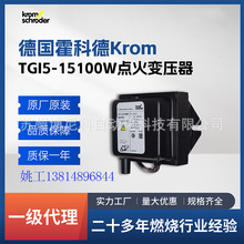 TZI 5-15/100W点火变压器 KromSchroder(霍科德) TGI5-15/100W