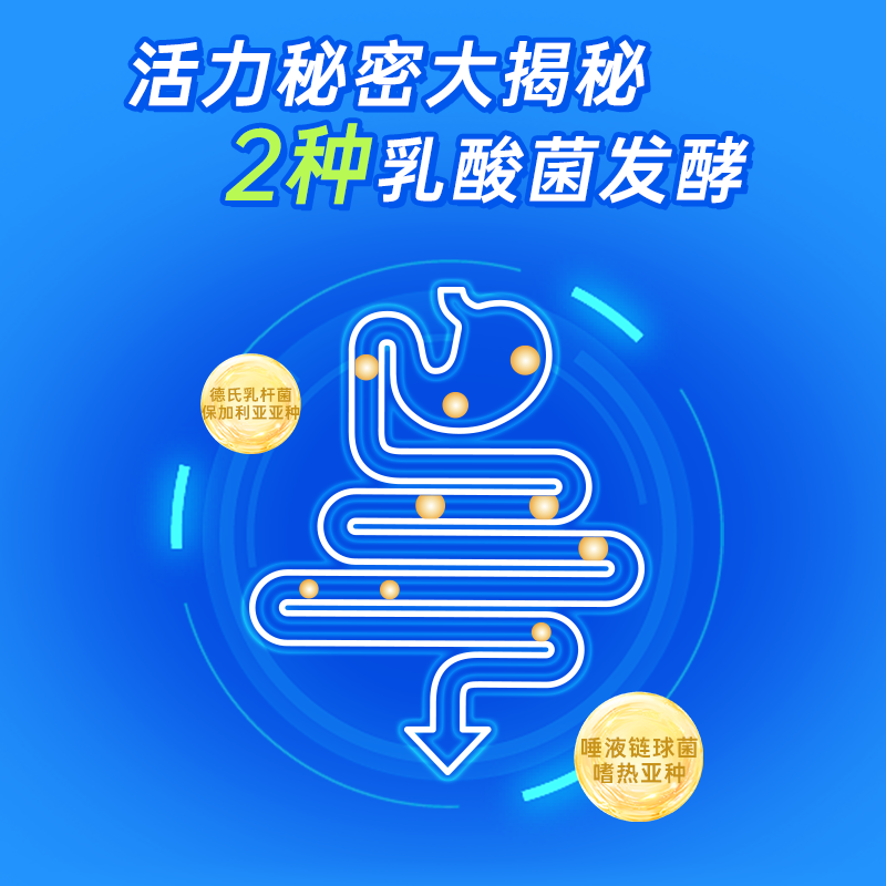 喜乐原味乳酸菌饮料95ml常温发酵儿童牛奶饮品解早餐酸奶整箱