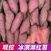 广东高州冰淇淋番薯紫心薯农家番薯粉糯香甜2-9斤现挖现发