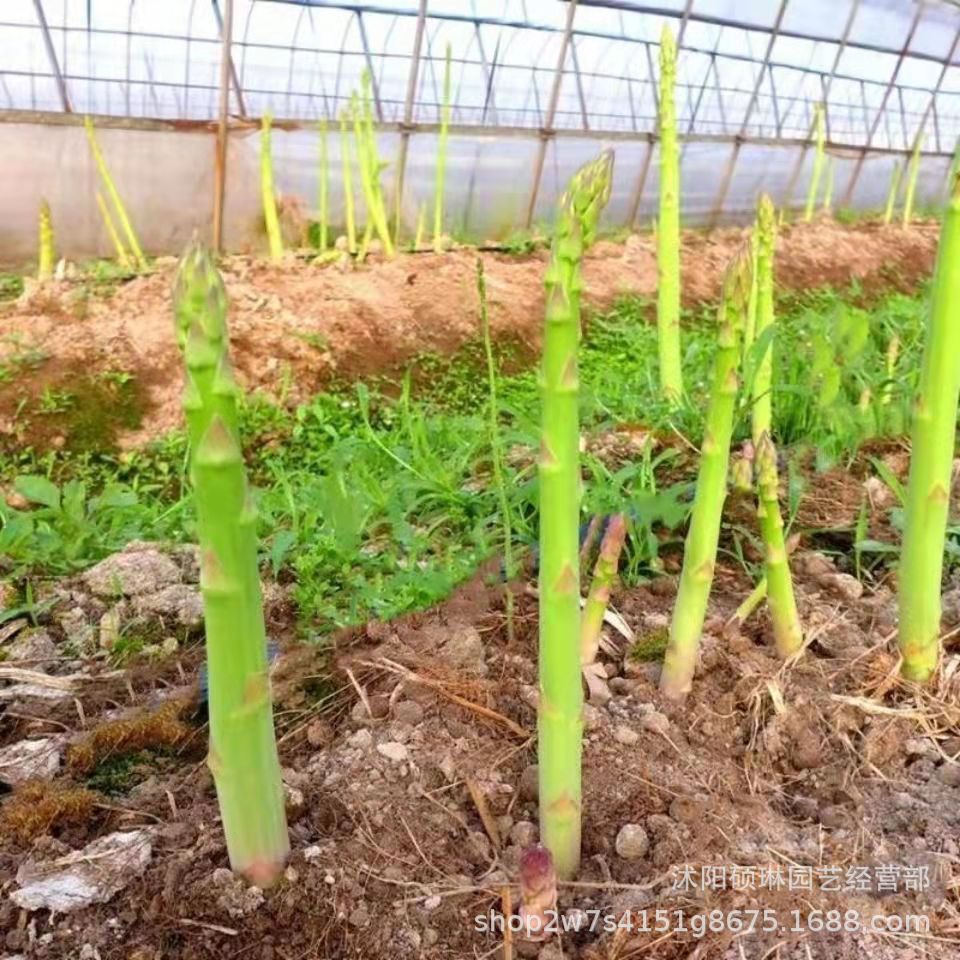 ĴϢְҵѧԺ_ĴԴμֵ俪,_ĴϢ