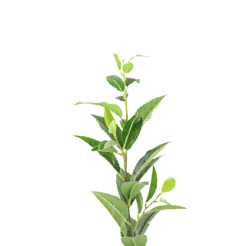 仿真假茶花树叶单枝福鼎大白茶叶绿茶红茶diy屏风装饰摆设批发