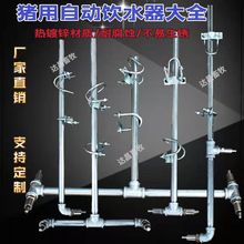 猪用饮水器猪喝水嘴猪用自动饮水器配件猪喝水限位栏母猪产床养殖