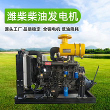 便携式大功率三相四线200kw潍坊柴油发电机组交流双缸小型发电机