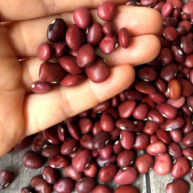 精选小扁红豆1斤5斤红腰豆扁红芸豆精选新红扁豆 小扁豆 红豆豆类