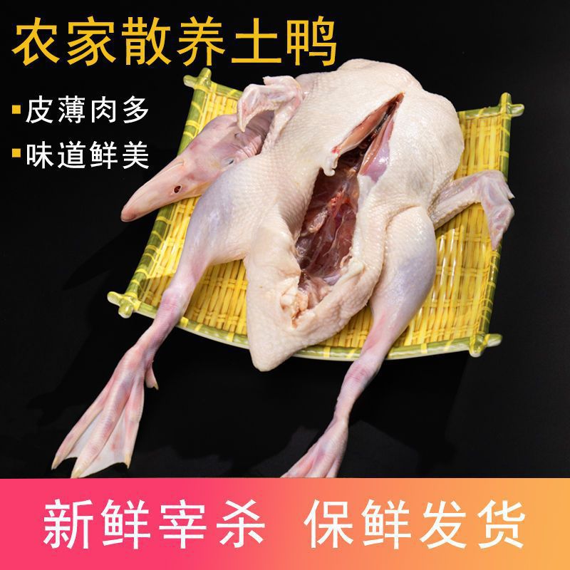 农家散养土鸭正宗新鲜水鸭现杀4斤鸭子整只白条鸭麻鸭肉樱桃谷鸭