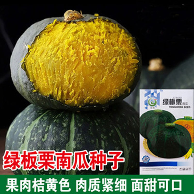 绿甜板栗南瓜种子日本甜蜜南瓜种籽粉面小贝贝蔬菜四季苗春秋种孑